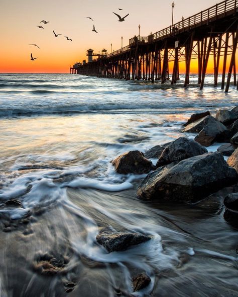 Oceanside Pier, Oceanside, California ♡ Oceanside Pier, American Indian Tattoos, Oceanside California, Beach Landscape, Landscape Projects, California Usa, Places Around The World, Special Places, San Diego