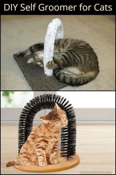 Katt Hus, Katt Diy, Katt Grejer, Chat Diy, Kat Diy, Diy Cat Tree, Cat House Diy, Diy Cat Toys, Cats Diy Projects