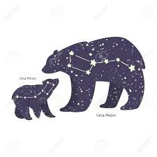 Constellations Drawing, Ursa Major Ursa Minor, Bear Constellation, Constellation Drawing, Ursa Major Constellation, Astronomy Tattoo, Night Starry Sky, Sky Vector, Ursa Minor