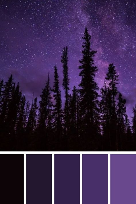 A stunning night sky scene featuring tall silhouettes of trees against a deep black and purple backdrop. The stars twinkle softly within the black purple color palette, creating a mystical and serene atmosphere that blends the darkness of the night with subtle purple hues. Dark Purple Color Pallet, Dark Sky Color Palette, Dark Purple Color Combinations, Black Purple Color Palette, Black And Purple Color Palette, Northern Lights Color Palette, Mysterious Color Palette, Storm Color Palette, Night Sky Color Palette