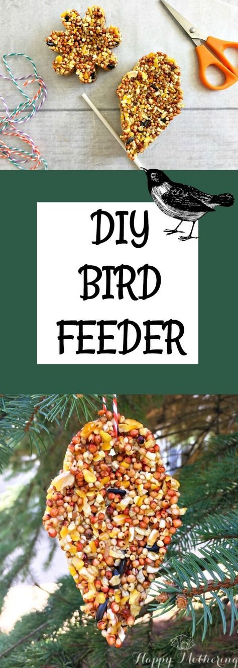 Are you searching for a peanut butter free DIY bird feeder tutorial? Check out how we make our DIY bird feeders - they're simple and birds love them! Bird Feeders For Kids To Make, Best Bird Feeders, Bird Seed Ornaments, Summer Camp Activities, Homemade Bird Feeders, Kids Homemade, Science Activity, Food Ornaments, Theme Nature