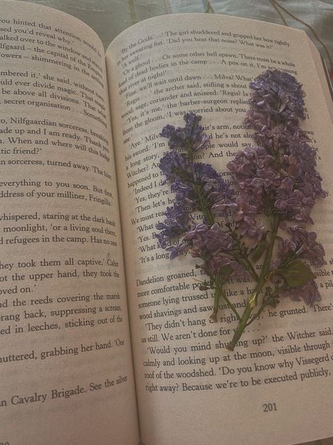 #books #academia #aesthetic #witcher #lilac #reading Lilac Books Aesthetic, Lavender Academia Aesthetic, Lilac Aesthetic Flowers, Purple Book Aesthetic, Violets Aesthetic, Elisabeth Aesthetic, Purple Academia Aesthetic, Book Aethstetic, Burning Lavender