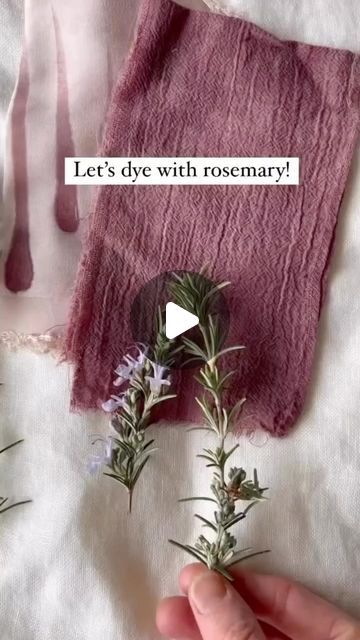 NATURAL DYEING | REBECCA DESNOS on Instagram: "The many uses of rosemary 😍🌿👌 Have you tried either of these?  1️⃣ Dyeing with rosemary!  💚 Different varieties make different dye colours. Making dye is a lot like making a strong pot of herbal tea. 💚 Simmer your plants in water and allow the pot to stand for a few hours. 💚 Strain, then add your mordanted or pretreated fabric. 💚 Gently heat the pot of dye and stir regularly for an even colour. 💚 Rinse and dry.  2️⃣ Make rosemary hair growth spray!   💚 Boil filtered water. 💚 Add your sprigs of rosemary, turn off the heat and cover. 💚 Allow the water to cool. 💚 Transfer to a spray bottle. 💚 Spray your herbal water onto the scalp after washing to stimulate hair growth and reduce any hair loss. 💚 Keep in the fridge and use within a Dyeing With Tea, Rosemary Hair Growth Spray, Uses Of Rosemary, Natural Dyes For Fabric, Natural Fabric Dye, Herbal Water, Tea Dyed Fabric, Dye Plants, Eco Dyeing Fabric