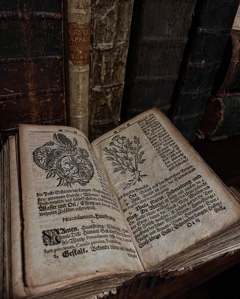 Alchemy Book Aesthetic, Dark Herbalist Aesthetic, Dark Alchemy Aesthetic, Alcamist Aesthetic, Magic Books Aesthetic, From The Library Of, Ancient Books Aesthetic, Medieval Doctor Aesthetic, Grimore Books Aesthetic