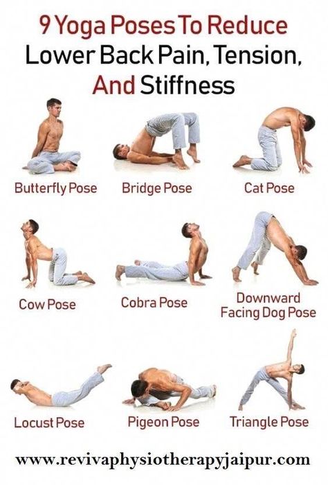 Lower Back Pain Stretches, Back Pain Stretches, Cow Pose, Back Stretches For Pain, Lower Back Pain Exercises, Back Pain Remedies, Cobra Pose, Lower Back Pain Relief, Bridge Pose