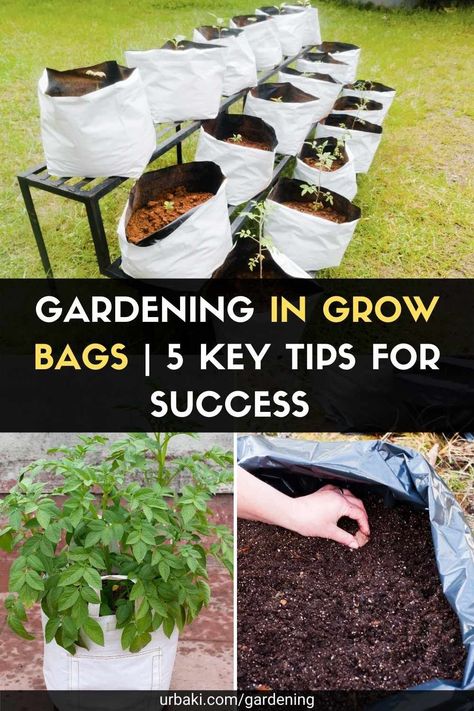 Gardening In Bags, Container Gardening Layout, Planting In Bags, Grow Bags Garden, Growing Bags Gardening, Garden Grow Bags, Planting In Grow Bags, Garden Bags Ideas, Bag Gardening Ideas