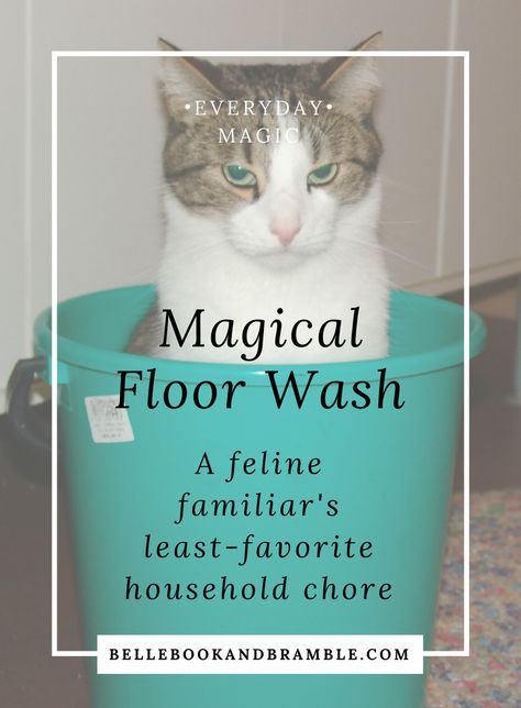 Belle, Book, and Bramble: A blog about the art of everyday magic Magic Floor Wash Recipe, Witchy Floor Cleaner, Witchcraft Floor Wash, Magic Floor Wash, Witchy Floor Wash, Magical Floor Wash Recipe, Floor Wash Magical, Witchy Housekeeping, Mop Solution