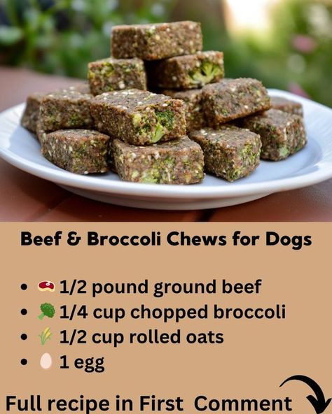 Homemade dog food recipes | 🐶 Beef & Broccoli Chews for Dogs 🥩🥦 | Facebook Dog Food Recipes Beef, Dog Homemade, Beef Dog Treats, Homemade Pet Treats, Beef Broccoli, Pet Items, Recipes Beef, Diy Dog Treats, Dog Info