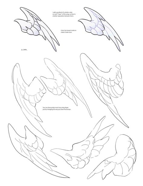 Wing Span Reference, Bird Wing Anatomy Drawings, Wing Anatomy Angels, Waist Wings Drawing, Wing Cloak Concept Art, Bird Wings Sketch, Wing Structure Drawing, Wing Study Drawing, Wing Poses Drawing