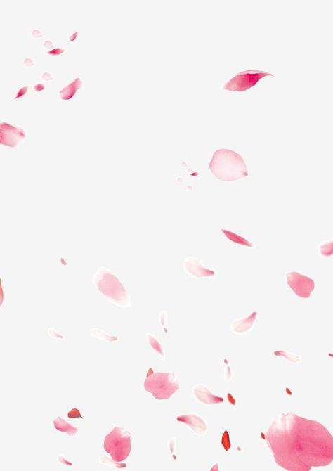 Rose Flower Png, Pink Flowers Background, Flower Pedals, Book Cover Design Inspiration, Romantic Background, Flowers Background, Wedding Petals, New Background Images, Flowers Petals