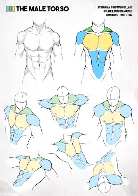 simplified anatomy 01 - male torso by mamoonart.deviantart.com on @DeviantArt Male Figure Drawing, Modeling Poses, Man Anatomy, Male Torso, Human Anatomy Drawing, Human Figure Drawing, Human Anatomy Art, Anatomy Sketches, Body Reference Drawing