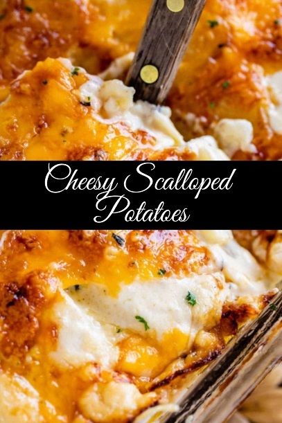 Cheesy Scalloped Potatoes recipe Easy Cheesy Scalloped Potatoes, Scalloped Potato Casserole, Slow Cooker Scalloped Potatoes, Cheesy Scalloped Potatoes Recipe, Best Scalloped Potatoes, Onion Casserole, Cheesy Scalloped Potatoes, Scalloped Potatoes Easy, Scalloped Potato