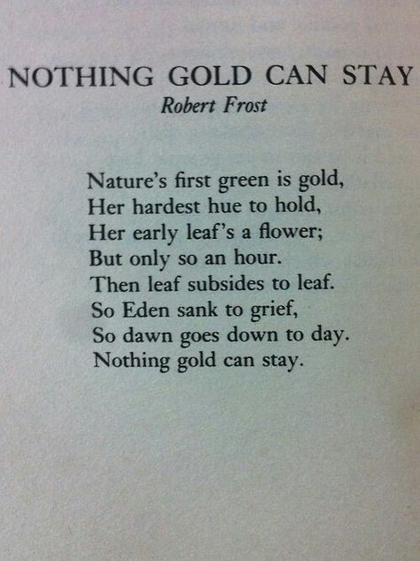 Quotes Literature, Robert Frost Poems, Nothing Gold Can Stay, Robert Frost, A Poem, Poem Quotes, Wonderful Words, Poetry Books, Poetry Quotes