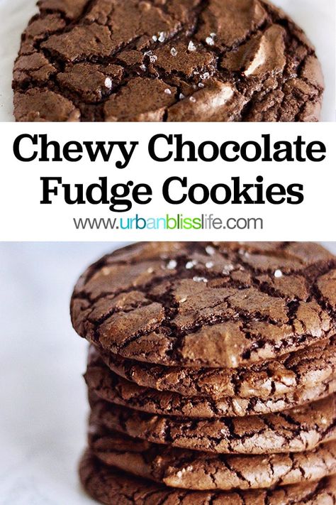 Chocolate Chewies Recipe, Gooey Chocolate Fudge Cookies, Chewy Chocolate Brownie Cookies, Easy Christmas Cookies Chocolate, Chewy Chocolate Supreme Cookies Recipe, Chocolate Fudge Cookies Chewy, Chocolate Chewy Cookies Recipe, Gooey Chocolate Cookies, Fudge Chocolate Cookies