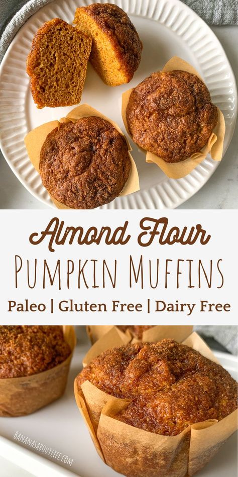 Pumpkin muffins healthy Pumpkin Muffins Almond Flour, Gluten Free Muffins Easy, Dairy Free Pumpkin Muffins, Muffins Made With Almond Flour, Almond Flour Pumpkin Muffins, Almond Flour Pumpkin, Healthy Pumpkin Muffins, Paleo Pumpkin Muffins, Gluten Free Pumpkin Recipes