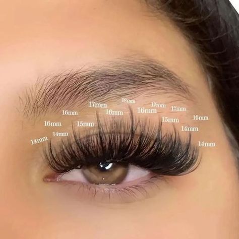 "Enhance your allure with our wispy eyelash extensions. Delicately crafted to add length, volume, and a touch of glamour, these lashes offer a natural yet captivating flutter. The tapered ends create a soft, feathery effect, framing your eyes with elegance. Elevate your look effortlessly and embrace the enchanting allure of wispy lashes. #eyelash #eyelashextension #wispylash #wetlash Long Eyelashes Extensions, Types Of Eyelashes Extensions, Dolly Lash Mapping, Lash Sets With Mapping Volume, Round Eye Eyelash Extensions, Doll Eye Wispy Lash Extensions, Hybrid Wispy Eyelash Extensions Doll Eye, Wispy Volume Lash Extensions Doll Eye, Dolly Eyelash Extension