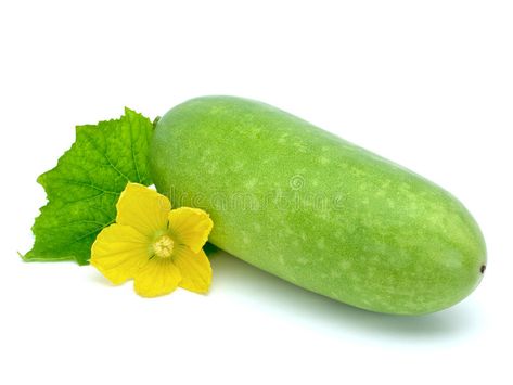 Wax gourd. On white background , #affiliate, #gourd, #Wax, #background, #white #ad Melon Benefits, Eggplant Seeds, Papaya Seeds, Winter Melon, Healthy Seeds, Honeydew Melon, Heirloom Seeds, Organic Farming, Honeydew