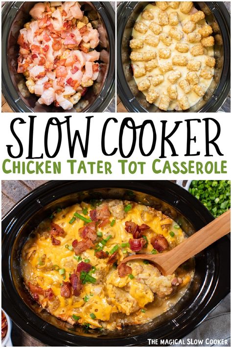 Make tater tot casserole with chicken and bacon in the slow cooker! This meal just needs 5 hours for the best tater tot casserole you will ever have! - The Magical Slow Cooker Tater Tot Chicken Crock Pot, Crockpot Tater Tot Casserole Chicken, Crockpot Tator Tot Casserole Chicken, Tater Tot Casserole Slow Cooker, What To Eat With Tater Tots, Crockpot Chicken And Tater Tots Recipes, Slow Cooker Chicken Tater Tot Casserole, Tater Tot Casserole Recipes Chicken, Tater Tot Slow Cooker Recipes