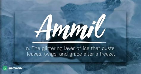 Ammil comes from the Old English term for enamel. Now the word refers to the glittering layer of ice that dusts leaves, twigs, and grass after a freeze. Words For Nature Lovers, Nature Definitions, Nature Words Unique, Nature Lover Quotes, Word English, Rare Quotes, Nature Words, Uncommon Words, Beautiful Names