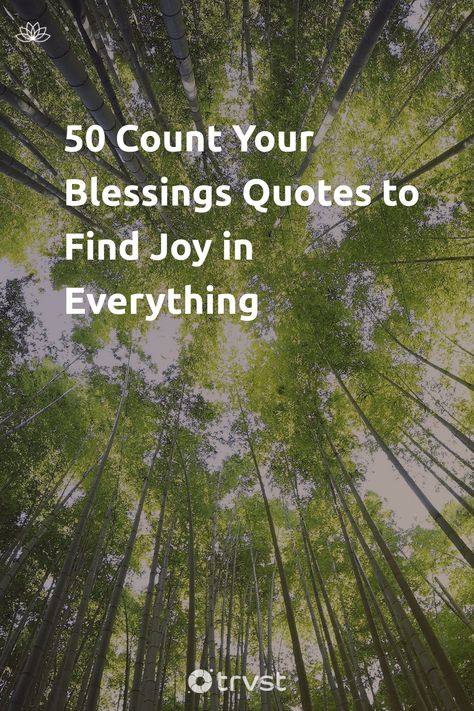 Life Blessings Quotes, God Bless Everyone Quotes, Blessing To Others Quotes, Being Blessed Quotes, So Blessed Quotes, Grateful For Life Quotes, Quotes About Being Blessed, Quotes About Blessings, Count Your Blessings Quotes