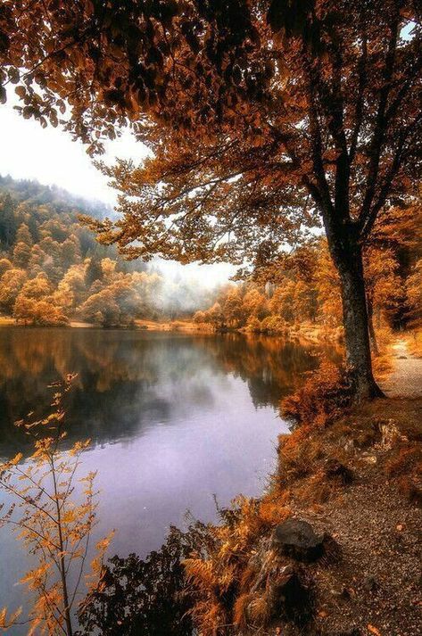 autumn lake Autumn Lake, Image Nature, Autumn Scenes, Autumn Scenery, Autumn Beauty, Fall Pictures, Fall Wallpaper, Autumn Photography, In The Fall