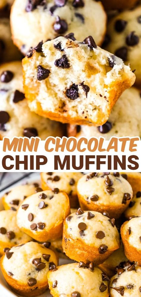 Christmas Muffins For Kids, Mini Muffin Tin Recipes Healthy, Easy Chocolate Chip Muffins, Bakery Style Chocolate Chip Muffins, Chocolate Chip Mini Muffins, Mini Muffin Tin Recipes, Chocolate Chip Muffins Recipe, Mini Muffin Recipe, Mini Chocolate Chip Muffins