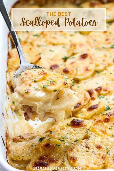 Scalloped Potatoes - the BEST cheesy potato side dish for your Thanksgiving and Christmas holiday dinners. Potatoes are tender and oven baked in a casserole. The classic comfort food for the Fall and winter! Scalloped Potatoes Christmas, Casserole Recipes For Dinner Potato, Casserole Dish Meals, Potato Scallops Recipe, Cheese Garlic Scalloped Potatoes, Best Potatoes For Scalloped Potatoes, Holiday Scalloped Potatoes, Best Scalloped Potatoes Ever, Scalloped Potatoes Best