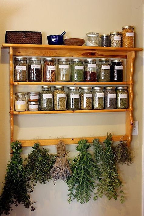 This is What a Home Apothecary Pantry Looks Like — Pantry Spotlight Apothecary Pantry, Home Apothecary, Magia Das Ervas, Kabinet Dapur, Spices And Herbs, Room Idea, Kitchen Witch, Healing Herbs, Medicinal Herbs