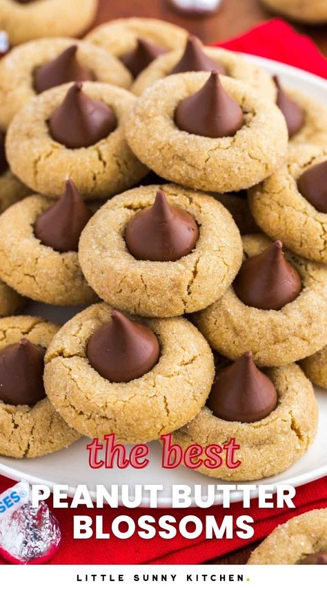 Peanut Butter Blossom Cookies are a long-enjoyed favorite, especially at holiday time. You can make these easy peanut butter and chocolate cookies in an afternoon. Homemade Peanut Butter Blossom Cookies, Small Batch Peanut Butter Blossoms, Peanut Butter Blooms Cookies, Easy Peanut Butter Blossom Cookies, Peanut Butter Hershey Kiss Cookies, Peanut Butter Kiss Cookies Recipe, Peanut Blossom Cookies, The Best Peanut Butter Cookies, Peanut Butter Thumbprint Cookies