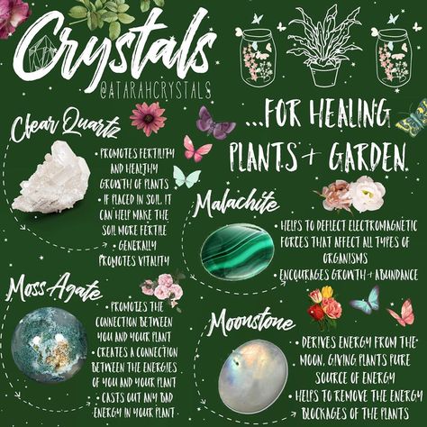 Witches Garden, Crystal Healing Chart, Sacred Garden, Witchcraft Spells, Green Witchcraft, Wiccan Spell Book, Magick Book, Crystal Garden, Witchcraft Spell Books