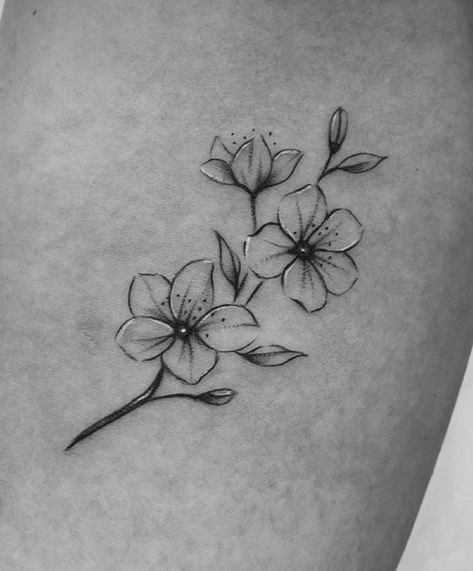 Amaryllis Tattoo, Dogwood Tattoo, Dogwood Flower Tattoos, Arrow Tattoos For Women, Pearl Tattoo, Secret Tattoo, Sakura Tattoo, Lily Flower Tattoos, Waist Tattoos