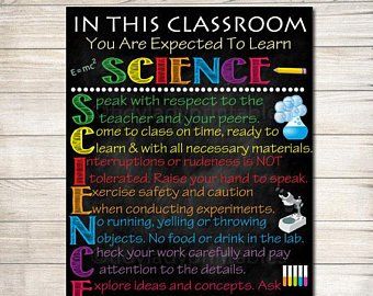 Items similar to Science Teacher Door Sign, Science Beaker, Science Decorations, Science Classroom, Teacher Door Hanger, Custom Teacher Name Sign on Etsy Javier Blake, English Facts, Scientific Method Posters, Middle School Science Classroom, Learn Science, Classroom Door Signs, Science Classroom Decorations, Rules Poster, Classroom Rules Poster