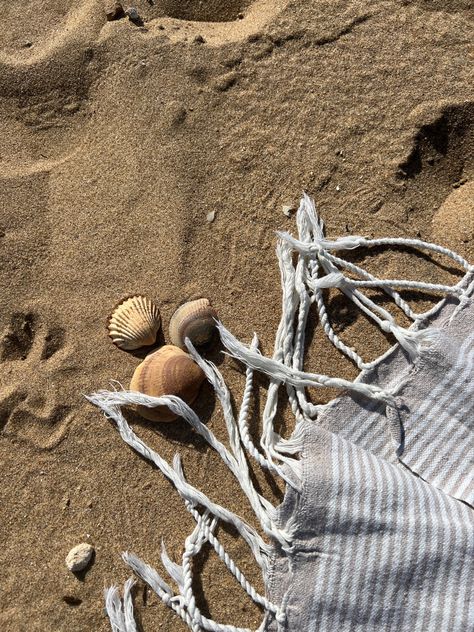 Salty Hair Aesthetic, Sandy Hair, Italian Summer Aesthetic, Salty Hair, Summer Surf, Italian Summer, Aesthetic Pastel Wallpaper, Beach Photoshoot, Candy Gifts