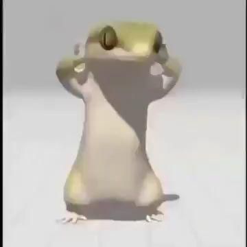 Dancing Lizard, 밈 유머, Vines Funny Videos, Rawr Xd, Funny Video Clips, Crazy Funny Pictures, Funny Vines, Instagram Funny Videos, Crazy Funny