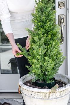 Faux shrubs and bushes are a great alternative to the real thing when planted in pots and containers for your porch. Learn where to find these plants and how to make them look as real as possible to easily enhance your home's curb appeal. | www.andersonandgrant.com Boxwoods In Containers, Front House Potted Plants, Boxwood Planters With Flowers, Shrub In Planter, Shrubs For Planter Boxes, Evergreen Front Porch Planter, Small Front Porch Potted Plant Ideas, Bush In Planter, Boxwood In Planter Front Porches