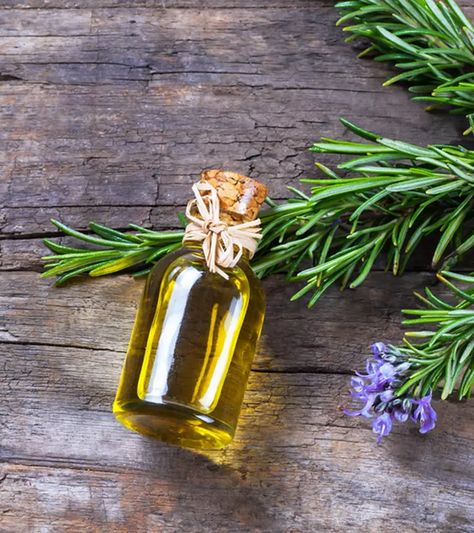 Essential Oil For Liver, Henna For Hair Growth, Rosemary For Hair, Milk Hair, Caster Oil, Herbs For Hair Growth, Hair Growth Tonic, Rosemary Oil For Hair, Herbs For Hair