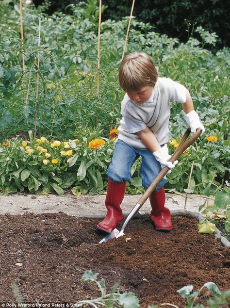 If you are lucky enough to have a large garden, your children will take great pleasure in having their own vegetable patch. It's a great way for them to learn about nature and food. Children's Garden, Family Garden, Fostering Children, Kew Gardens, Sleeve Tattoo, Autumn Garden, Gardening For Kids, Shade Garden, Shovel