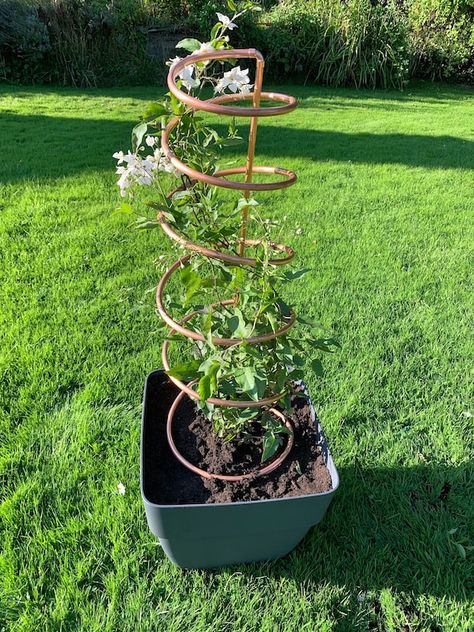 Copper Plant Trellis, Hops Trellis, Spilled Flower Pot Ideas, Spilled Flower Pot, Pot Trellis, Gardening Design Diy, Copper Plant, Climbing Plant Support, Wire Trellis