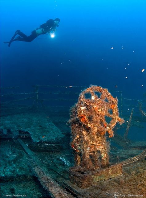 dive on a shipwreck and find some sunken treasure! Treasure Underwater, Miniature Theatre, Underwater Shipwreck, Wreck Diving, Sunken Boats, Sunken Ships, Sunken Ship, Sunken Treasure, English Project