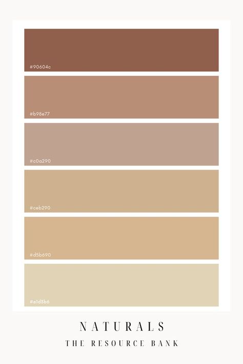 A natural colour palette, filled with warm toned nudes and browns. Use this beautiful colour palette to build a cohesive Canva design Collor Pallete Beige, Tan Color Palette Clothes, Brown Color Plattes, Brown Tone Palette, Brown Tones Palette, Brown Gold Colour Palette, Brown Colour Palette Aesthetic, Light Tan Color Palette, Sandstone Colour Palette