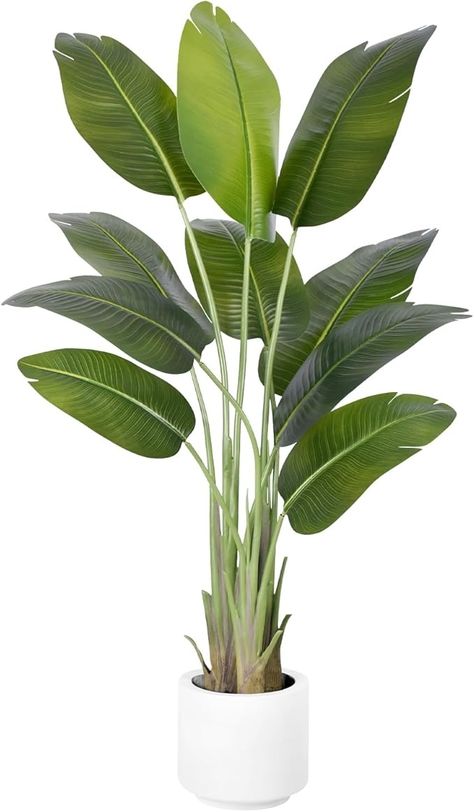 Amazon.com: ZEEOZE Artificial Bird of Paradise Plant 5Ft Tall Fake Tropical Palm Tree Large Fake Plants with 10 Silk Banana Leaves Faux Plant Indoor Decor Trees with White Pot for Home Bedroom Living Room Office : Home & Kitchen Palm Plant Indoor, Plant Indoor Decor, Indoor Palm Plants, Large Fake Plants, Banana Leaf Decor, Artificial Indoor Trees, Palm Leaf Decor, Birds Of Paradise Plant, Tall Indoor Plants