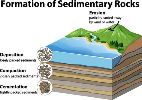 Formation of sedimentary rocks Sedimentary Rock Formation, Growth Mindset Posters, Fluid Dynamics, Rock Types, Sedimentary Rocks, Metamorphic Rocks, Diagram Design, Calcium Carbonate, Rock Hounding