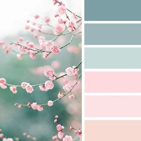 Bathroom Paint Color Schemes, Pink Color Combination, Cottage Shabby Chic, Paint Color Schemes, Bathroom Paint Colors, Pastel Colour Palette, Bedroom Paint Colors, Color Palette Design, Colour Board