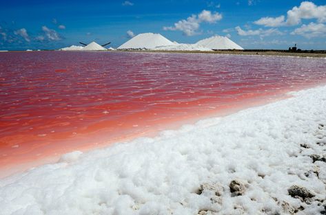 Have you ever wondered why the ocean is salty and why most lakes are not? Here's a look at what makes the sea salty and its chemical composition. Bonaire Island, Self Enlightenment, Ocean Salt, Water Issues, Nature Education, From Sea To Shining Sea, Ap Biology, Sea To Shining Sea, Oceans Of The World