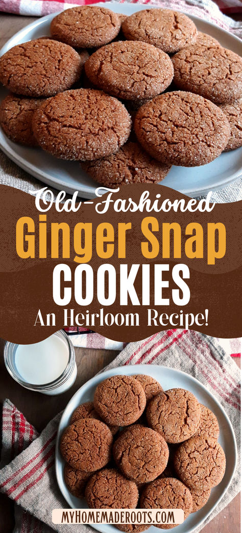 Discover the timeless delight of Old-Fashioned Ginger Snap cookies! These classic gingersnaps, rich in nostalgic flavors, offer the perfect blend of crispiness and spice. These cookies are a must-try for anyone who loves traditional baking. Perfect for holiday gatherings or a cozy treat anytime, this heirloom recipe ensures each bite is packed with authentic, nostalgic taste. Save this pin to your favorite dessert boards and enjoy the homemade goodness of gingersnaps today! Gwen Walz Ginger Snap Cookies, High Altitude Ginger Snaps, Disneys Crackle Molasses Cookies, Swedish Spice Cookies, Soft Gingersnap Cookies Recipe, Best Ginger Snap Cookies, Grandmas Ginger Snap Cookies, Popular Holiday Cookies, Grandmas Molasses Cookies Soft