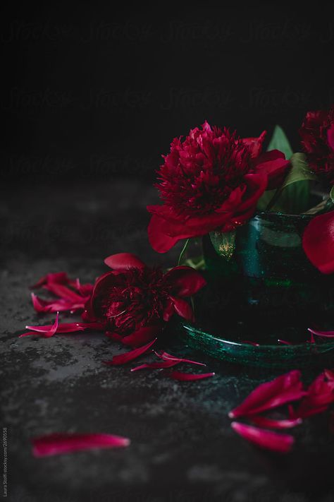 One red peony falled from vase on table close to petals Peonies Vase, Vase On Table, Fallen Petals, Elegance Quotes, Red Peony, Red Charm, Flowery Wallpaper, Red Peonies, Animated Love Images