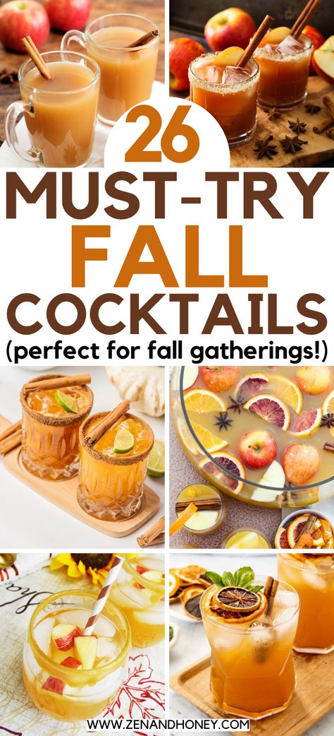 Choose from 26 aromatic and easy fall cocktails recipes to serve at your next Thanksgiving dinner. Infuse delicious flavors of autumn into your fall cocktails and celebrate the coziest season of the year. Easy Fall Cocktails, Fall Cocktail Recipes, Fall Drink Recipes, Hot Toddies Recipe, Fall Cocktails Recipes, Fall Cocktail, Cider Cocktails, Thanksgiving Drinks, Thanksgiving Cocktails