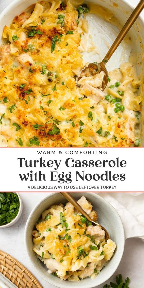 This baked turkey casserole is wholesome and delicious! A rich and indulgent cream sauce is baked with leftover turkey, egg noodles, and peas for a comforting meal. Turn thanksgiving leftovers into this easy dish! Turkey Dishes Leftover, Turkey Egg Noodles, Turkey Recipes Leftover, Turkey Leftovers Recipes, Turkey Casserole Recipes, Turkey Noodle Casserole, Turkey Casserole Recipe, Turkey Egg, Leftover Turkey Casserole