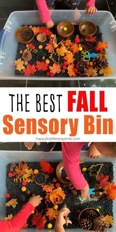 fall sensory bins for toddlers and preschoolers Sensory Bins For Toddlers, Fall Sensory Bin, Fall Activities For Toddlers, Fall Sensory, Toddler Sensory Bins, Halloween Crafting, Halloween Sensory, Fall Preschool Activities, Sensory Crafts