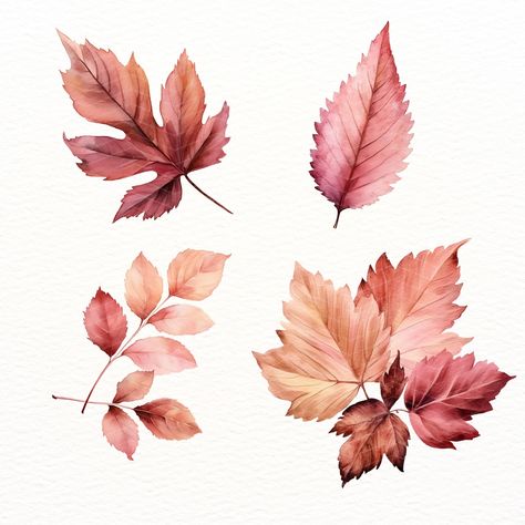 26 Dusty Pink Leaves Clipart, for Autumn Floral Frames, Botanical Leaf Elements in Blush and Pastel Rose, Fall Wedding Invitation https://digitalduskyrose.etsy.com/listing/1722056224 🔗 Explore More: For more design inspiration, explore our other Autumn & Halloween collections here: https://www.etsy.com/uk/shop/DigitalDuskyRose?section_id=44386565 Rose Fall Wedding, Leaves Clipart, Foto Collage, Floral Frames, Baby Rosa, Leaf Clipart, Pastel Roses, Fall Wedding Invitations, Autumn Halloween